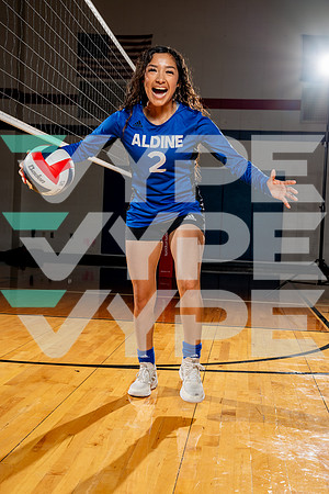 ALDINE_VB-(COLLIER)-38