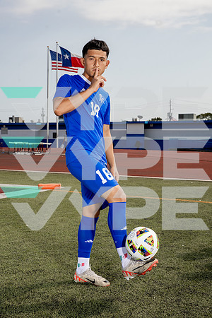 ALDINE_SOC-(BROWN)-598