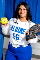 ALDINE_SFBL-(COLLIER)-00184
