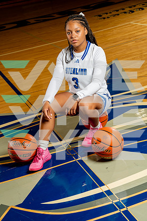 STERLING_GBB-(BCC)-297