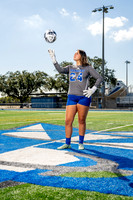 STERLING_GSOC-(BCC)-354