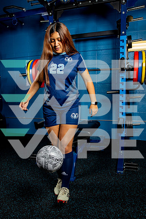 ELSIK_GSOC-(BROWN)-2806