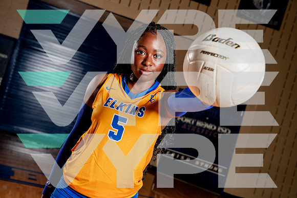ELKINS_VB-(COLLIER)-32