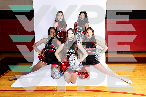 LANGHAM CREEK_DANCE-(BROWN)
