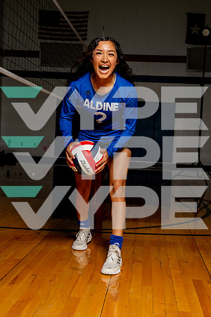 ALDINE_VB-(COLLIER)-40