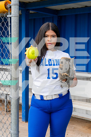 ALDINE_SFBL-(COLLIER)-00210