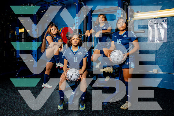 ELSIK_GSOC-(BROWN)-2784
