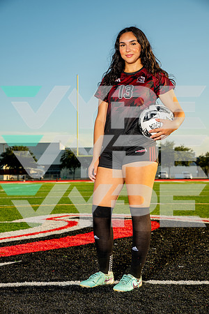 GCM_GSOC-(WRIGHT)-235