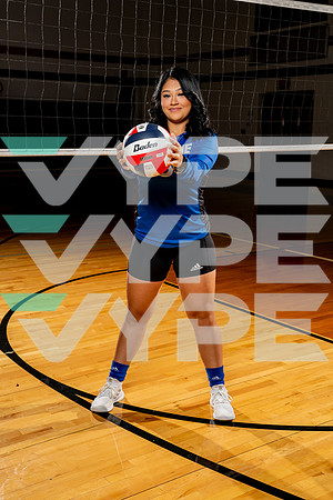 ALDINE_VB-(COLLIER)-3