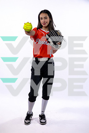 SPX_SOFTBALL_(BROWN)-600