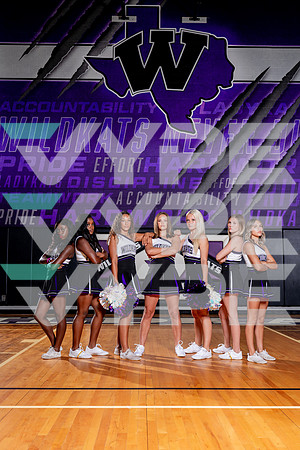 WILLIS_CHEER-(COLLIER)