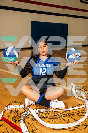 ALDINE_VB_0248-(BROWN)