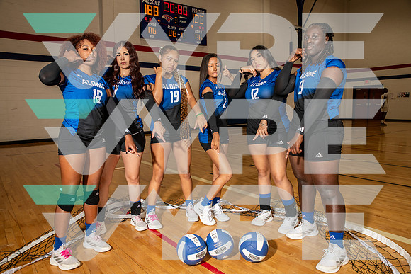 ALDINE_VB_0279-(BROWN)