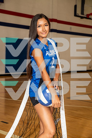ALDINE_VB_0260-(BROWN)