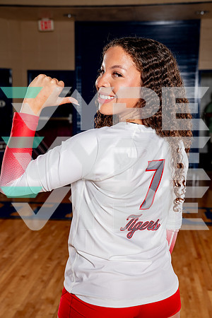 TRAVIS_VB-(COLLIER)-4