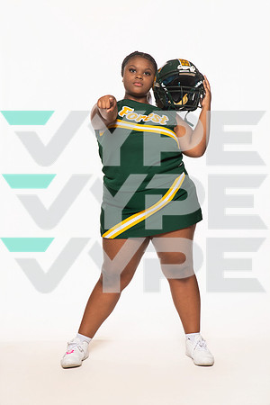 KLEIN FOREST_CHEER-(WRIGHT)-28