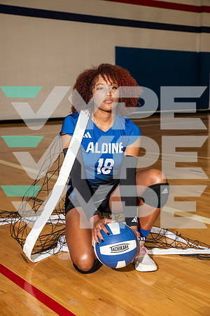 ALDINE_VB_0273-(BROWN)