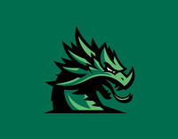 Cooper Dragons Logo