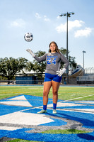 STERLING_GSOC-(BCC)-356