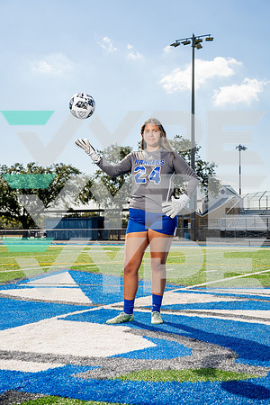 STERLING_GSOC-(BCC)-356