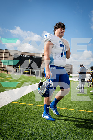 ALDINE_FB_03371-(COLLIER)
