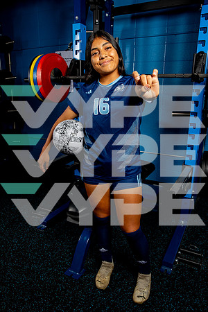 ELSIK_GSOC-(BROWN)-2816