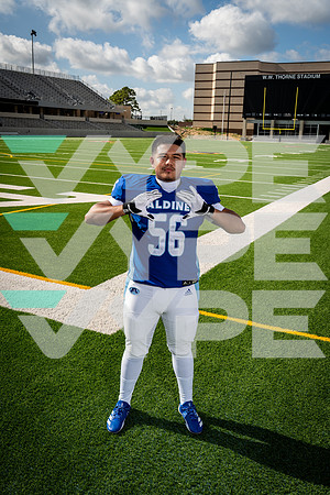 ALDINE_FB_03344-(COLLIER)