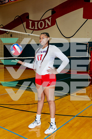 TAYLOR_VB-(WRIGHT)-17