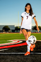 GCM_GSOC-(WRIGHT)-226
