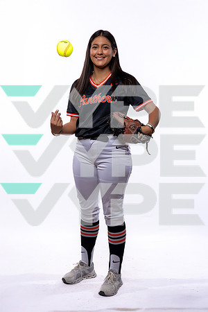 SPX_SOFTBALL_(BROWN)-546
