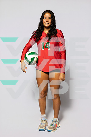 0F9A0118-WOODLANDS_VOLLEYBALL-(BROWN)