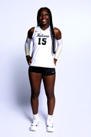 FOSTER_VB_8249-(BROWN)