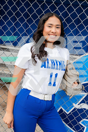 ALDINE_SFBL-(COLLIER)-00232