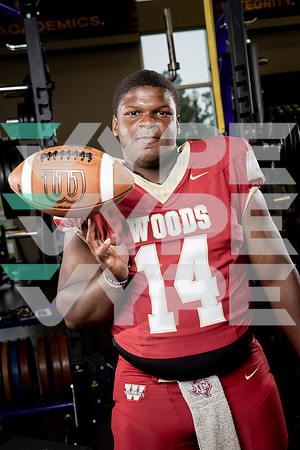 CY_WOODS_FB_DSC00205-(COLLIER)