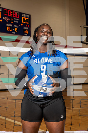 ALDINE_VB_0245-(BROWN)
