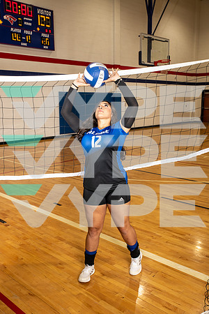 ALDINE_VB_0255-(BROWN)