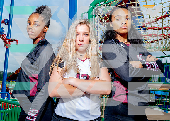 PEARLAND_VB_TEAM_490-(BCC)