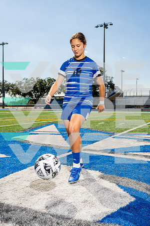 STERLING_GSOC-(BCC)-368