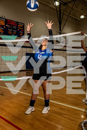 ALDINE_VB_0250-(BROWN)