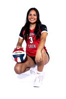 Volleyball
