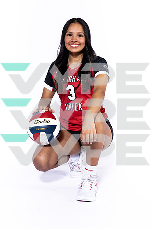 LANGHAM CREEK_VB-(BROWN)-2