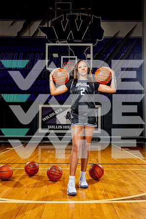 WILLIS_GBB-(BCC)-00157