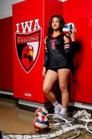 IWA_VB-(COLLIER)-15