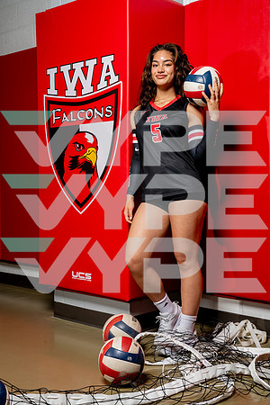 IWA_VB-(COLLIER)-15