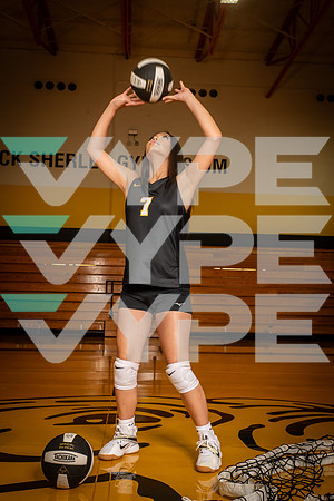HASTINGS_VOLLEYBALL_8388-(WRIGHT)