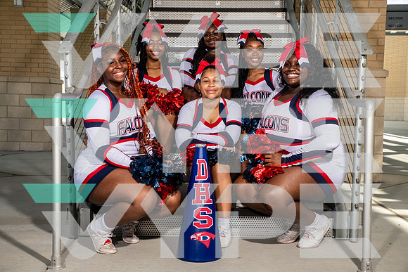 DAVIS_CHEER_9759-(BROWN)