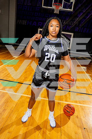 WILLIS_GBB-(BCC)-00245