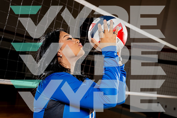 ALDINE_VB-(COLLIER)-7
