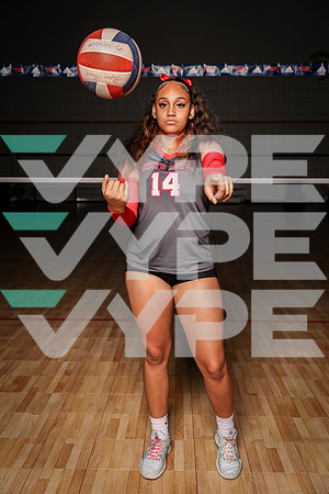 NORTH_SHORE_VB_0F9A8012-(BROWN)