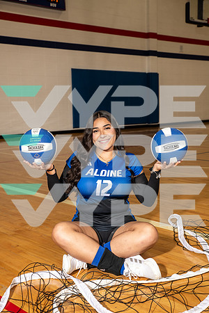 ALDINE_VB_0247-(BROWN)